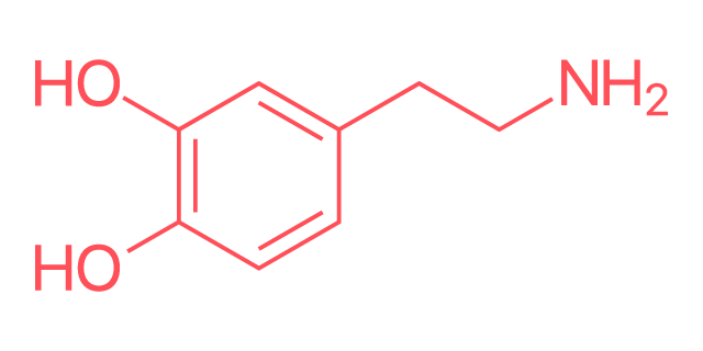 Dopamin - hormon štěstí